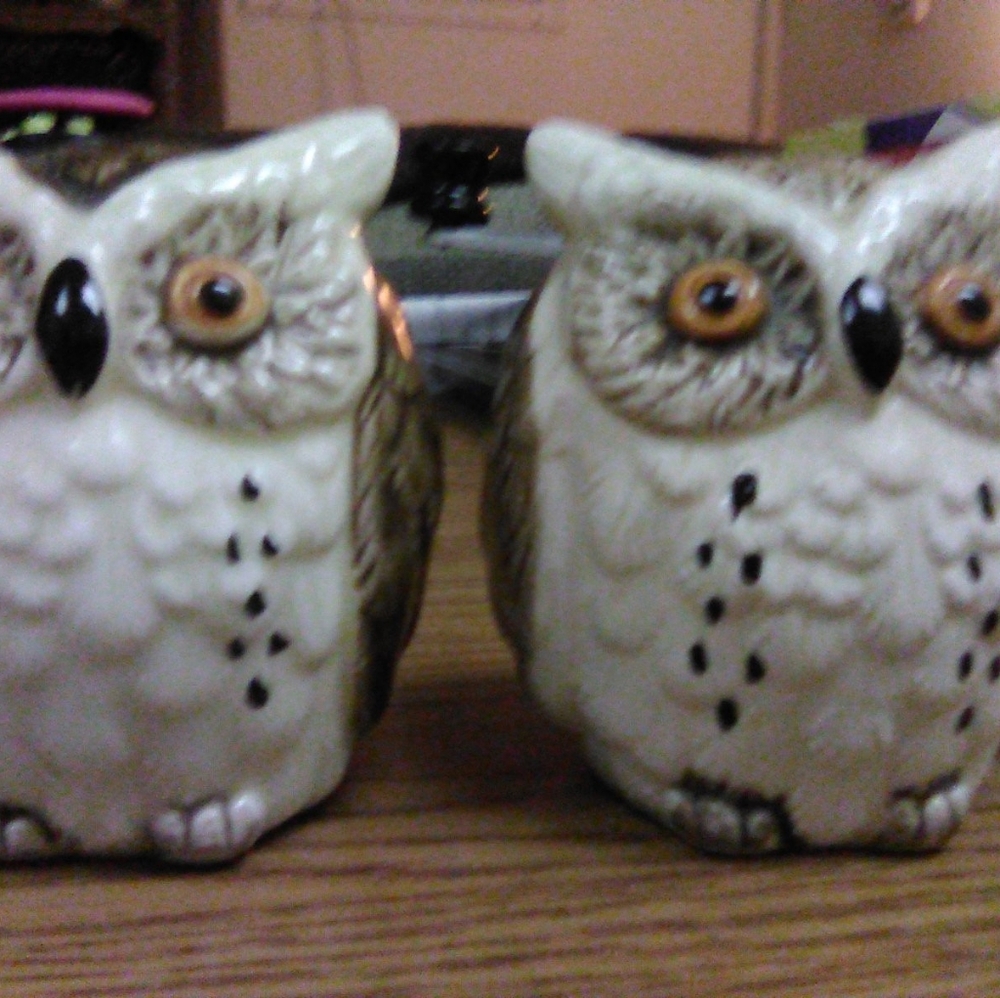 Japanese Asian Owl Salt And Pepper S & P Shaker Vt